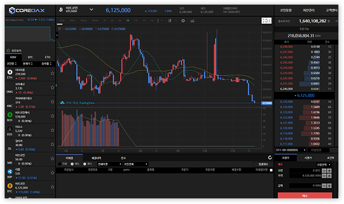 싱글페이지모드 (SPA)
